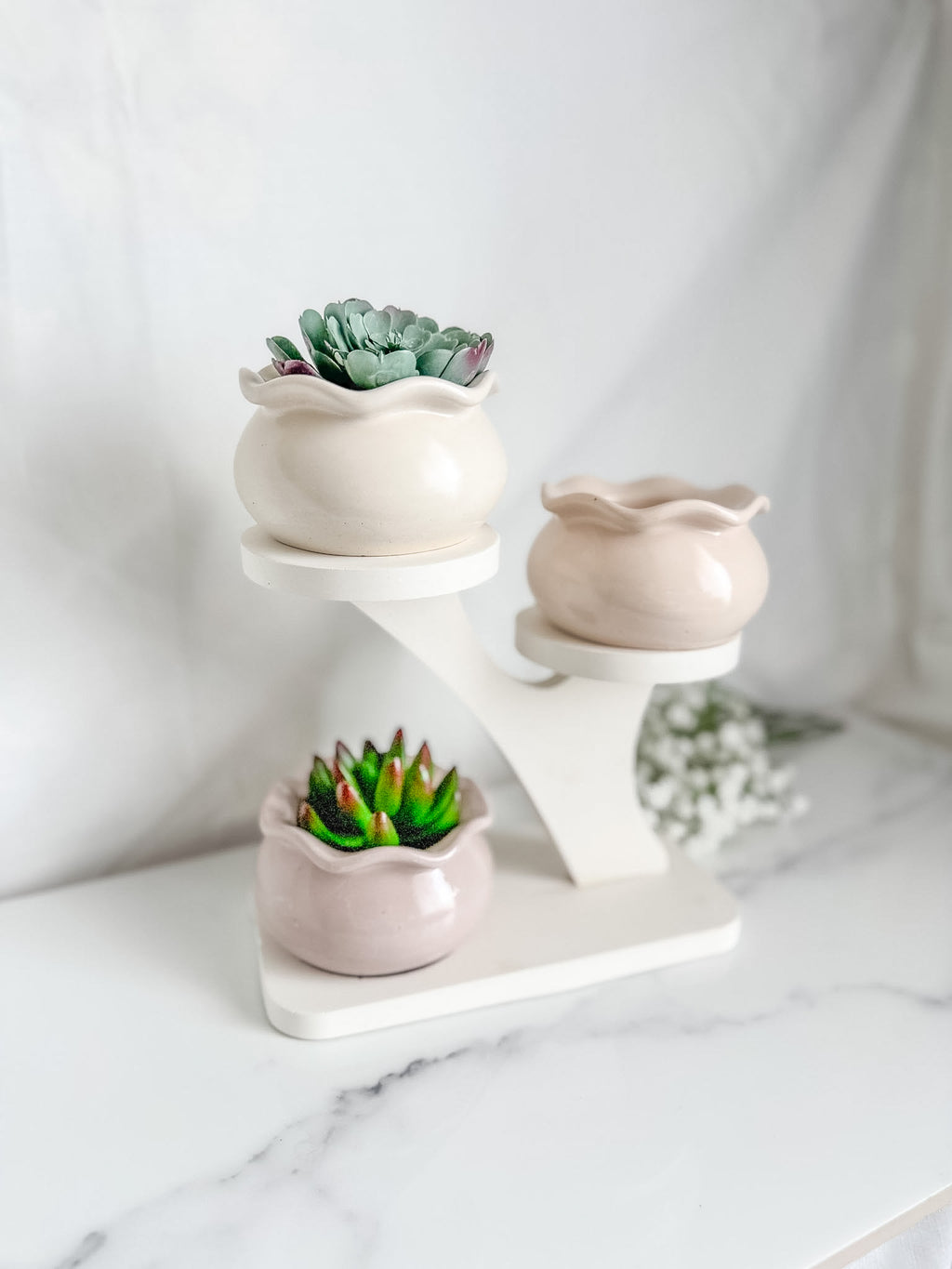 Tree Display Stand