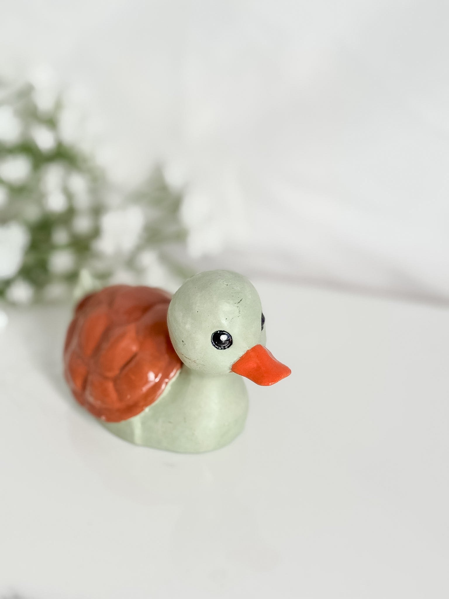 Turtle Duck (Turk)