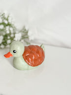 Turtle Duck (Turk)