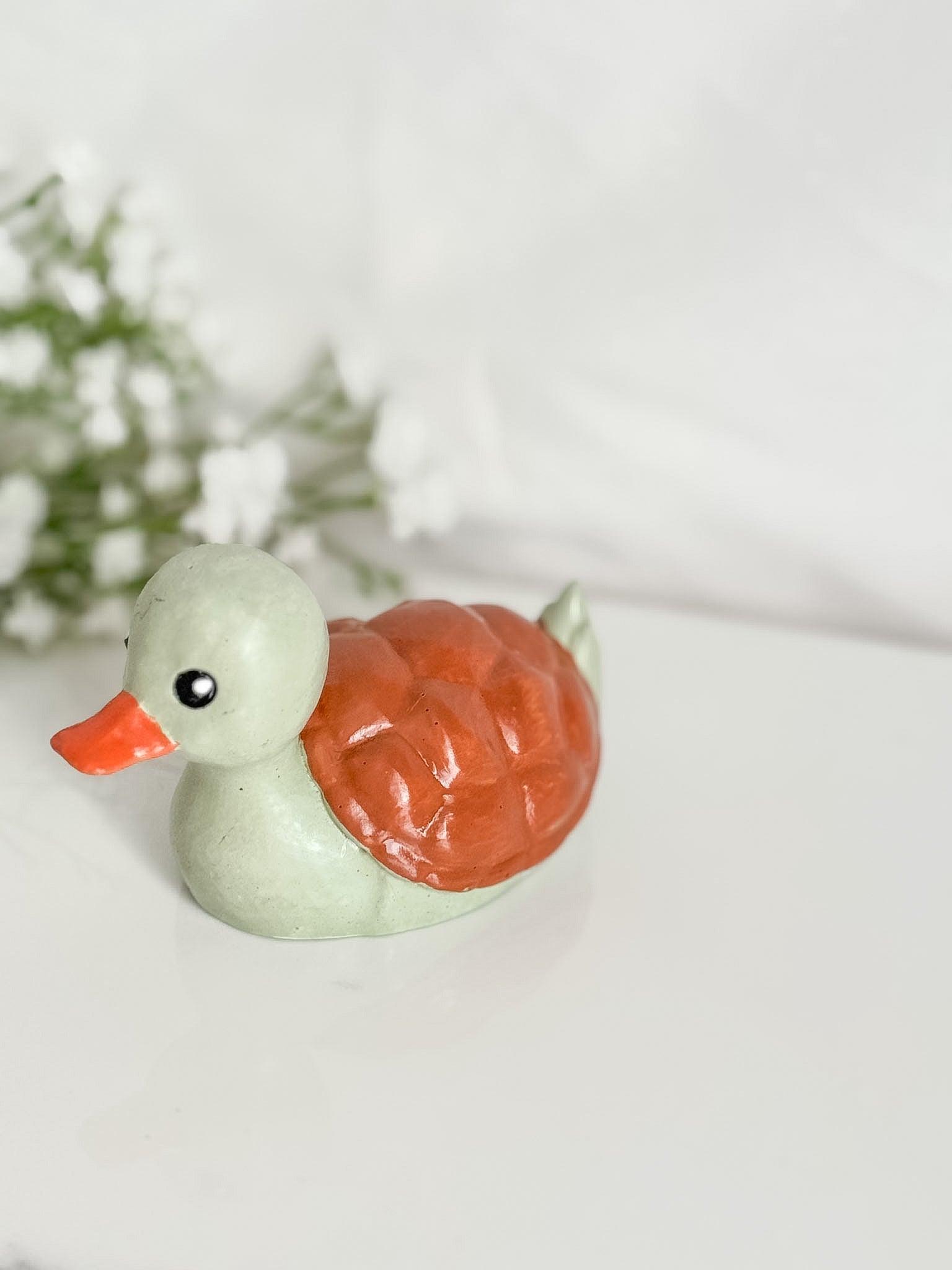 Turtle Duck (Turk)