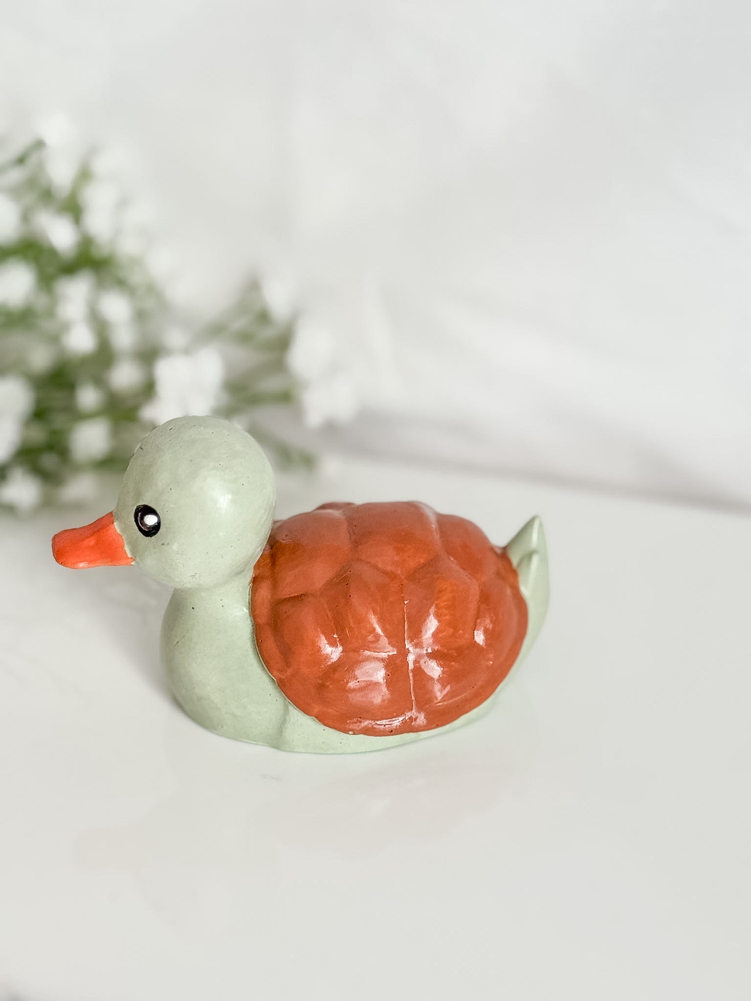 Turtle Duck (Turk)