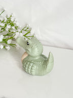 Crocodile Duck (Cronk)