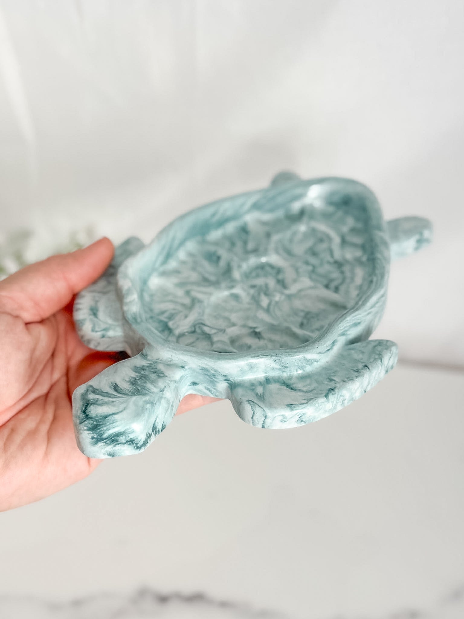 Turtle Tray