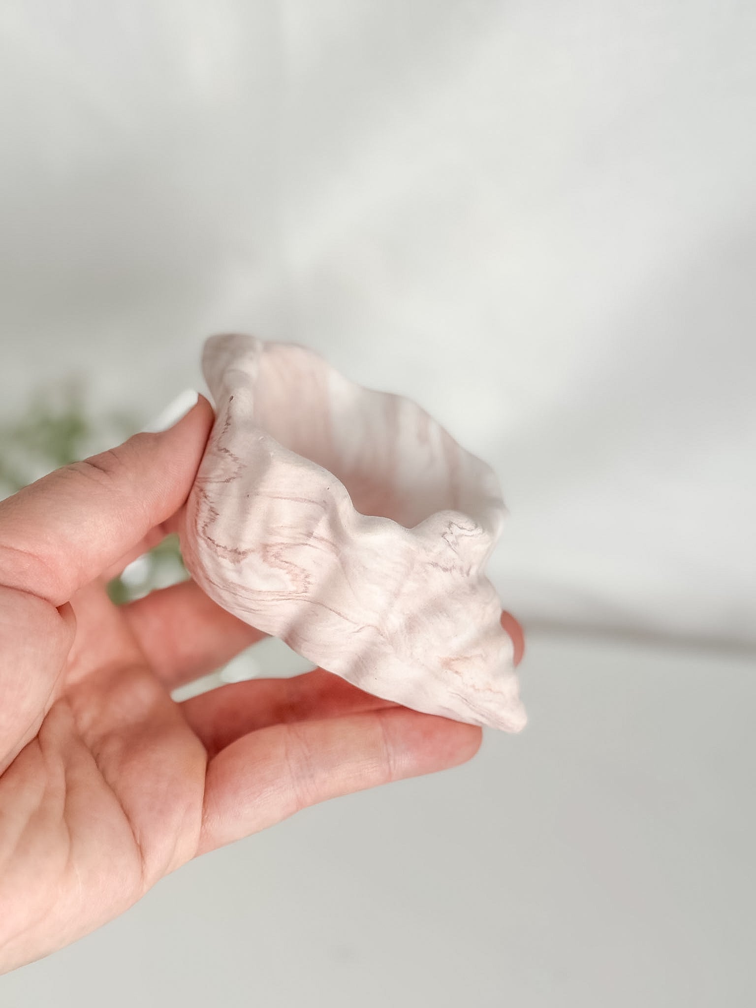 Conch Shell Ring Dish