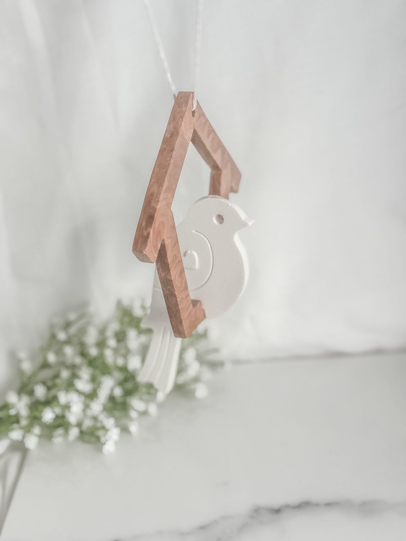Hanging Bird in House