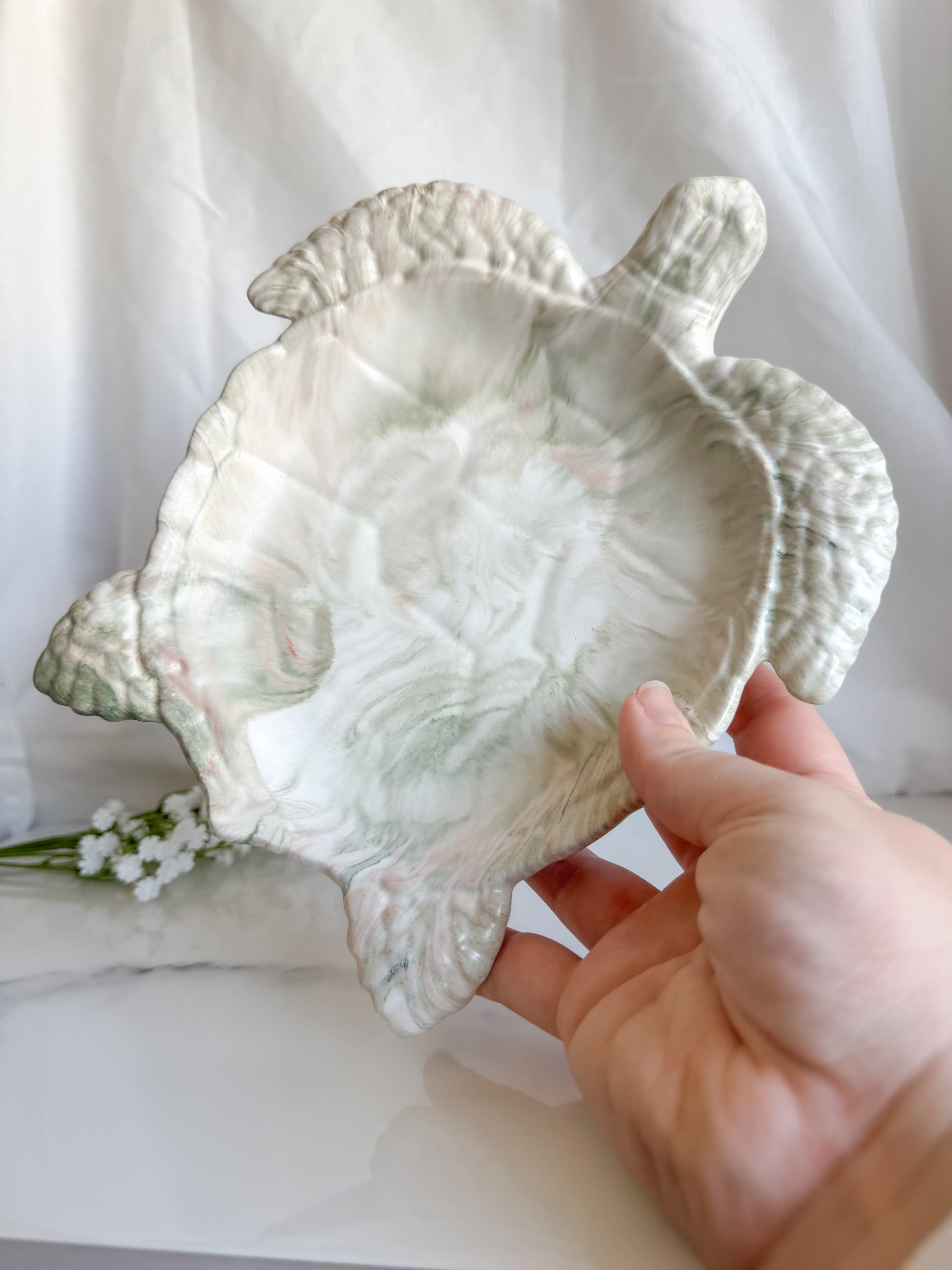 Turtle Bowl