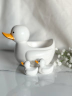 Duck Family