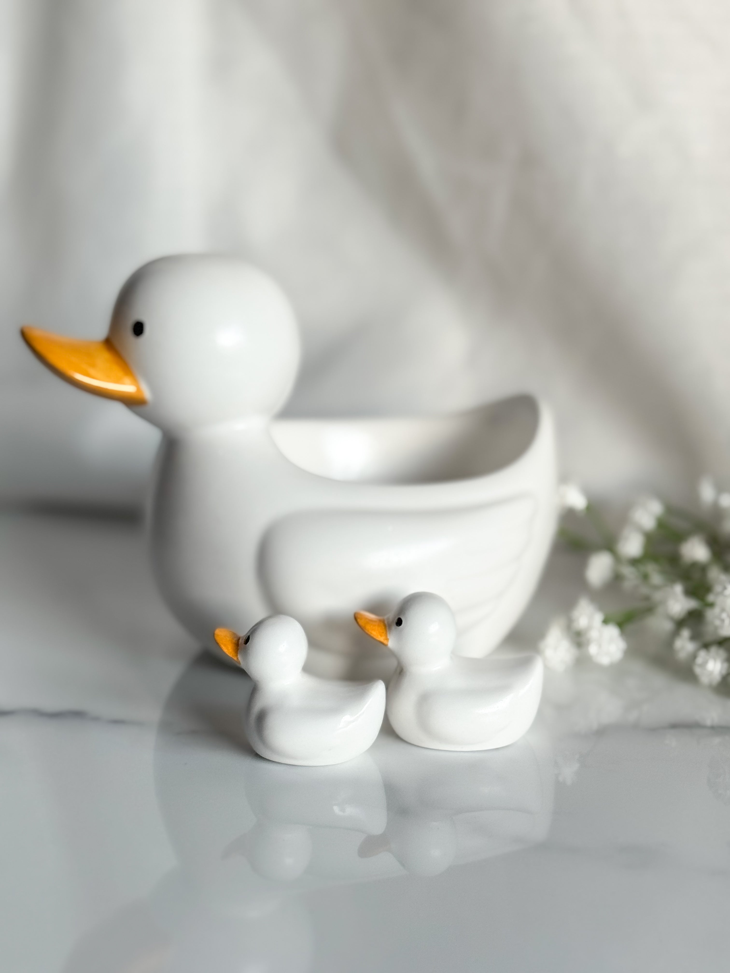 Duck Family