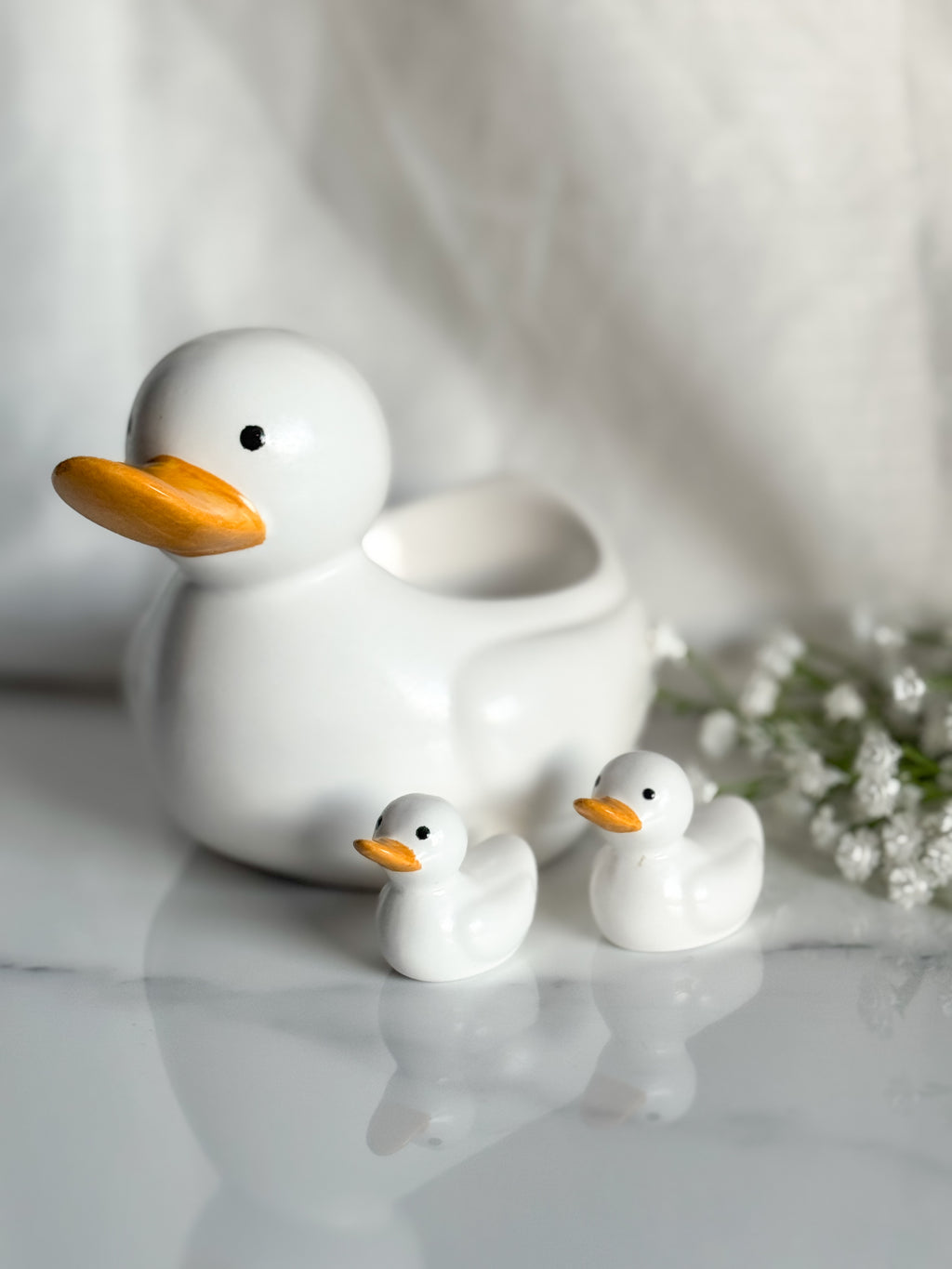 Duck Family