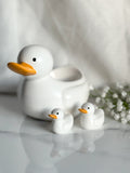 Duck Family