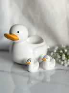 Duck Family