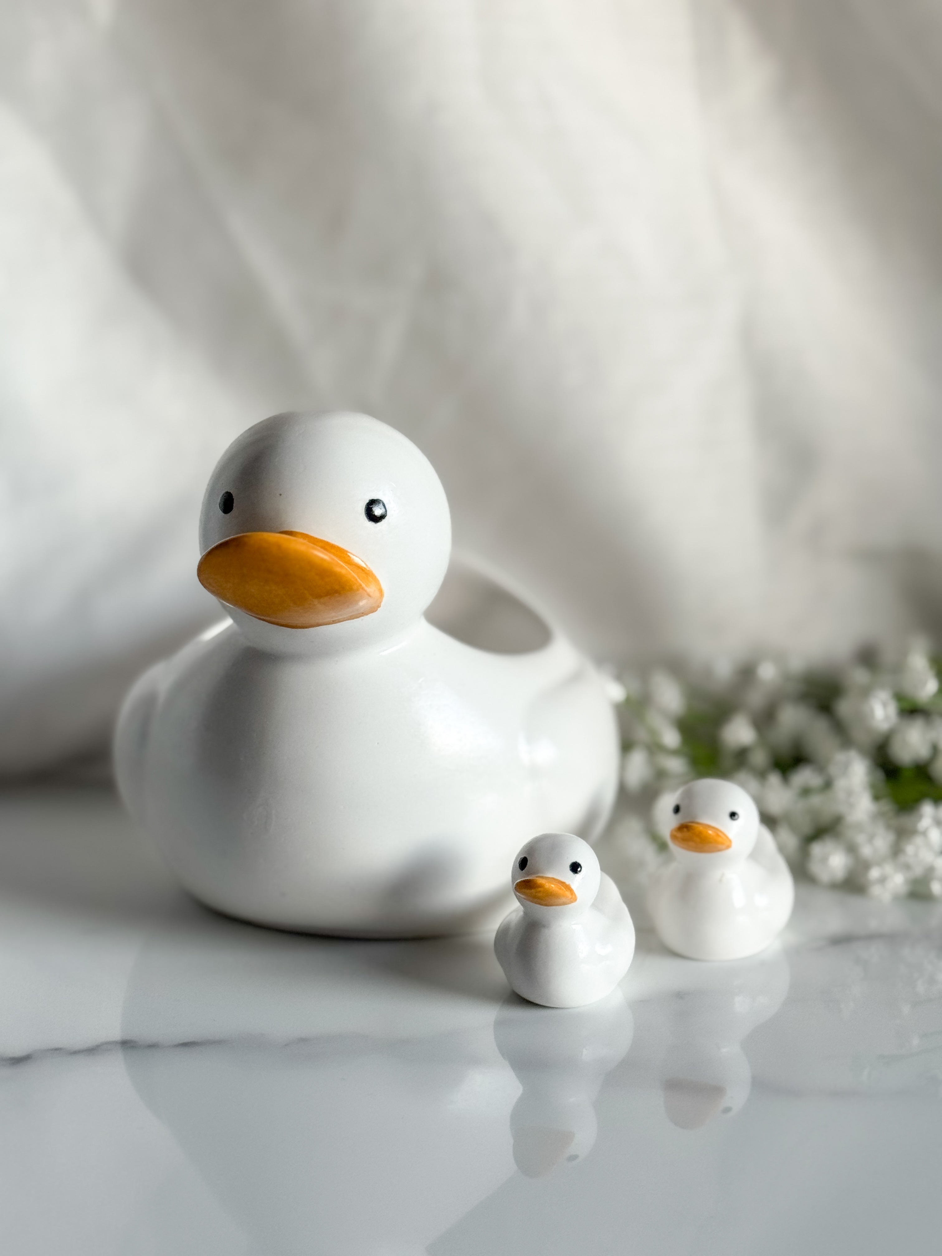 Duck Family