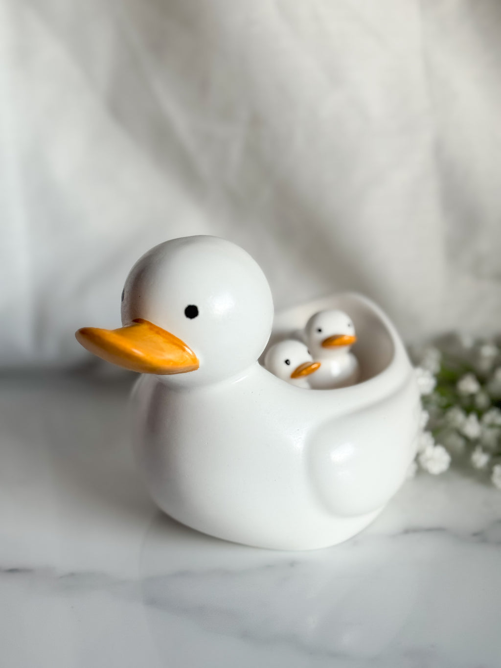 Duck Family