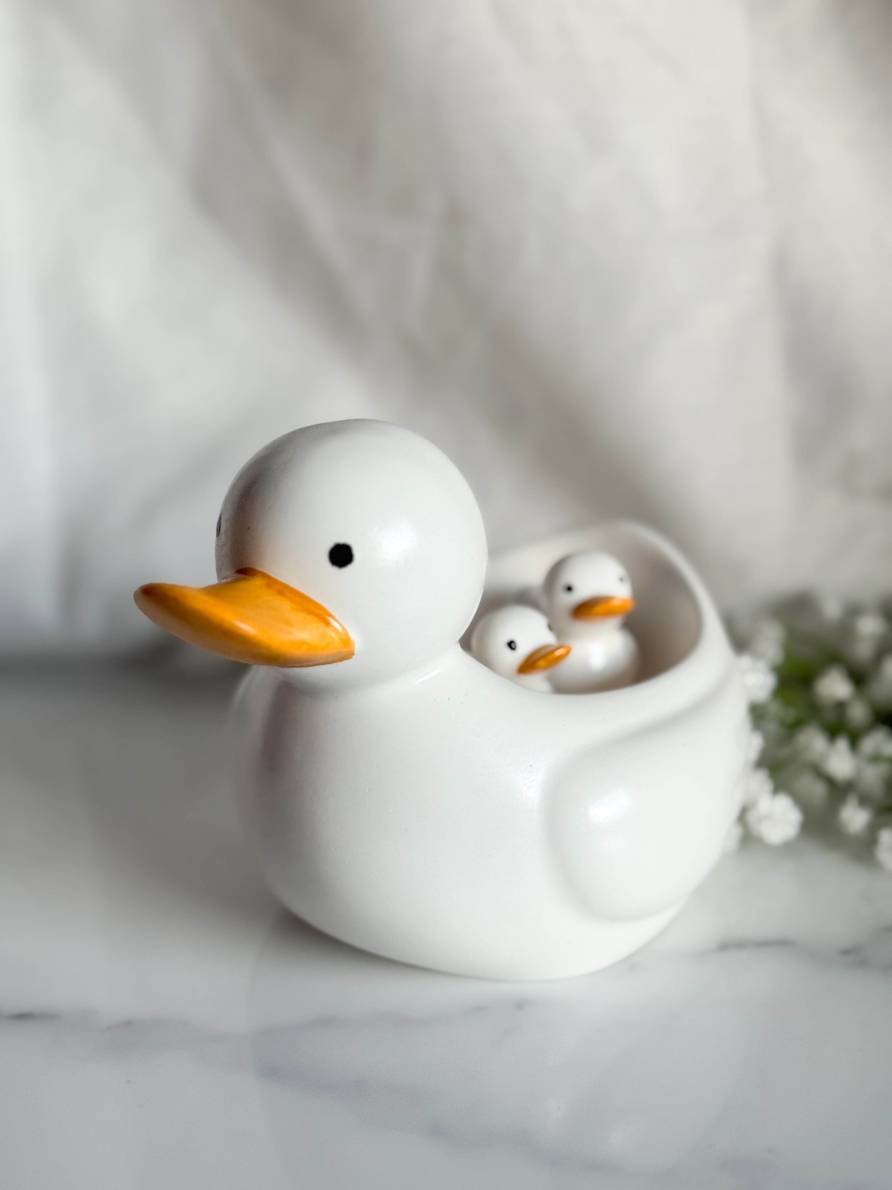 Duck Family