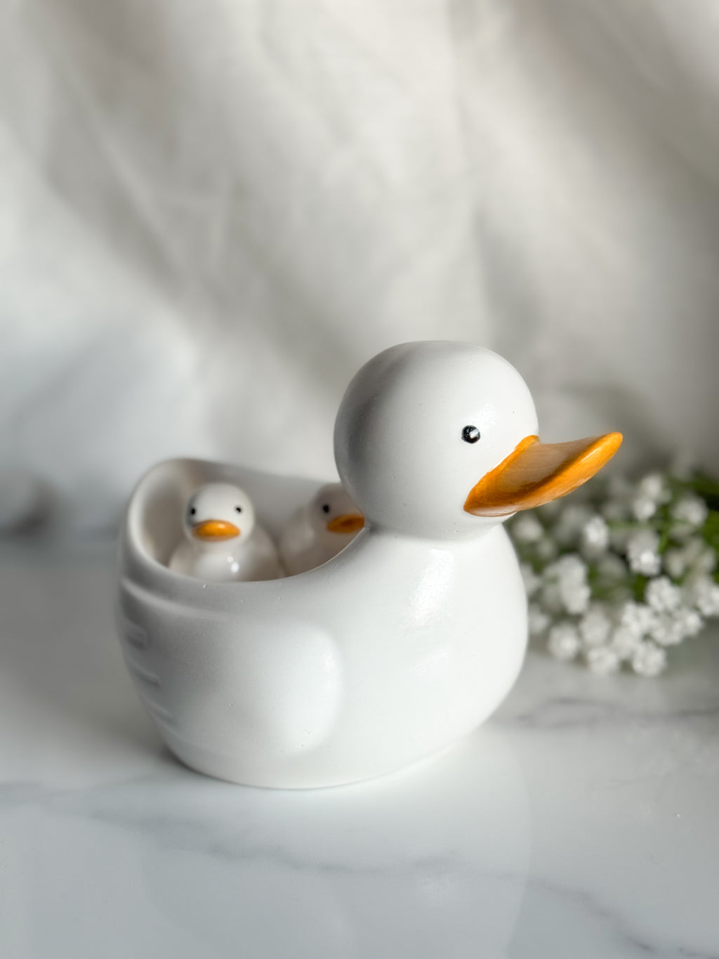 Duck Family