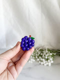 Grape Fruit Magnet