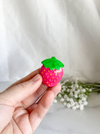 New Strawberry Fruit Magnet