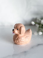 Golden Retriever Duck